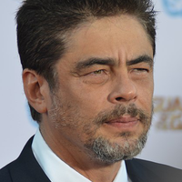 Benicio del Toro