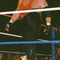 Big Van Vader