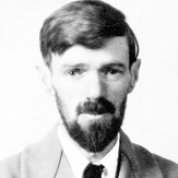 D. H. Lawrence