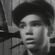 Darryl Hickman