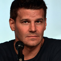 David Boreanaz