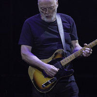 David Gilmour
