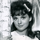 Dawn Wells