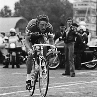 Freddy Maertens