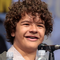Gaten Matarazzo