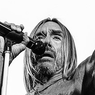 Iggy Pop