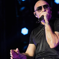 Pitbull (rapper)