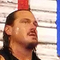 Rhyno