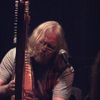 Robin Williamson
