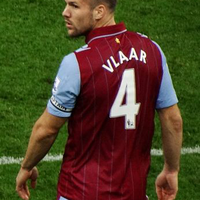 Ron Vlaar