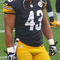 Troy Polamalu