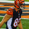 Tyler Eifert